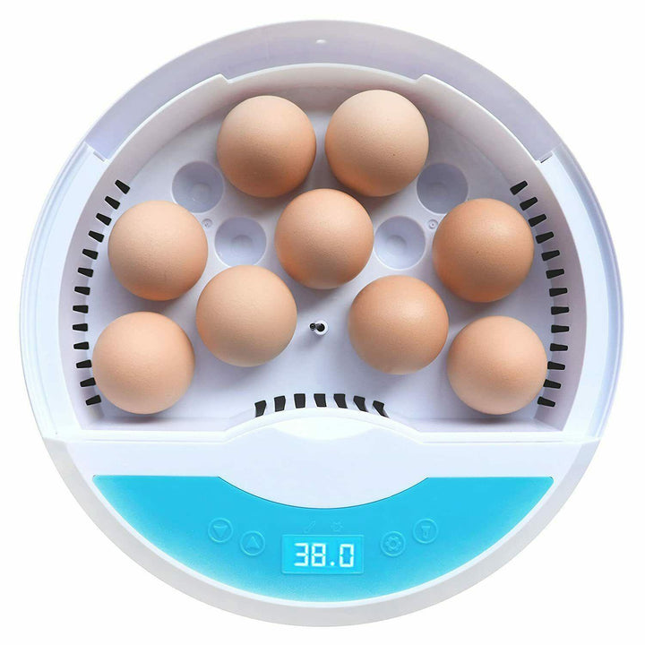 "Automatic LED egg incubator with temperature control, featuring digital display and eco-friendly ABS materials."