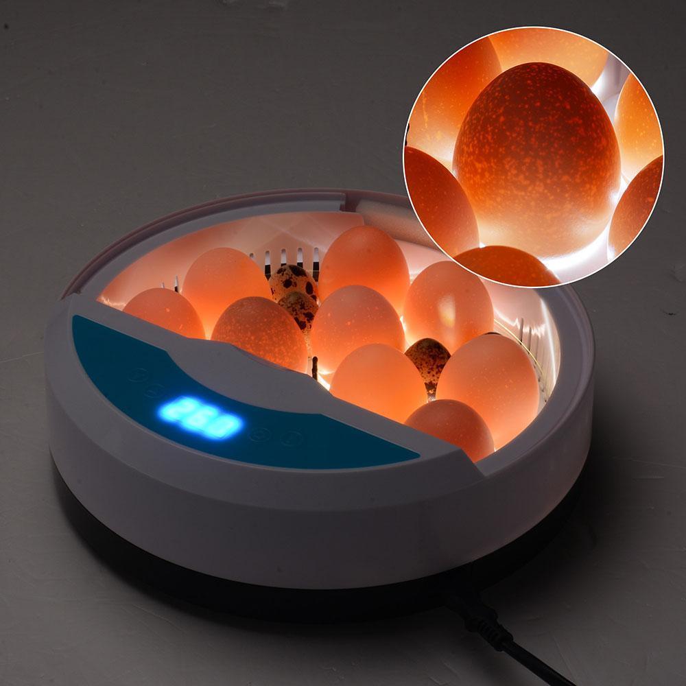 "Automatic LED egg incubator with temperature control, featuring digital display and eco-friendly ABS materials."