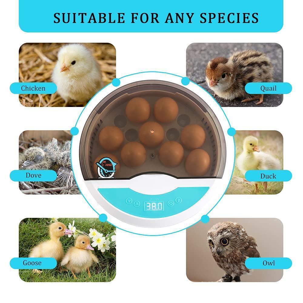 "Automatic LED egg incubator with temperature control, featuring digital display and eco-friendly ABS materials."