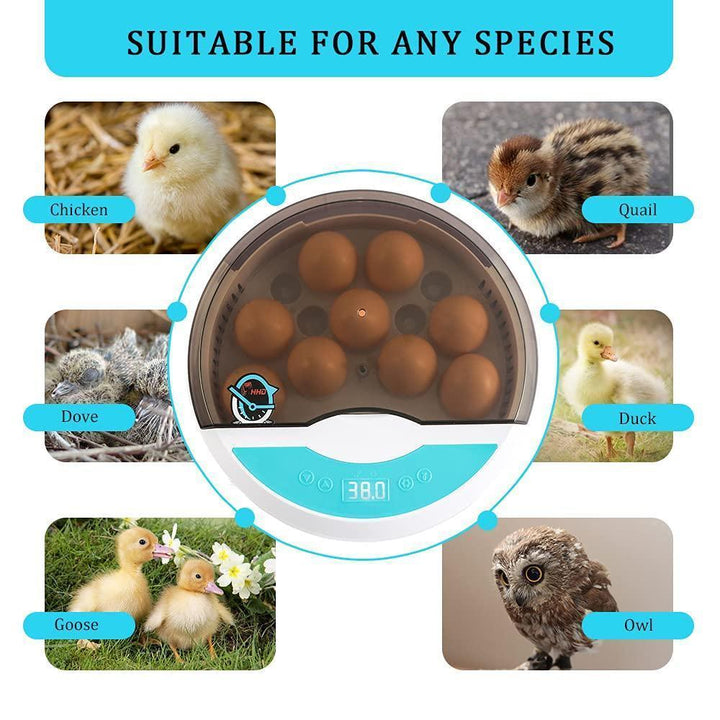 "Automatic LED egg incubator with temperature control, featuring digital display and eco-friendly ABS materials."