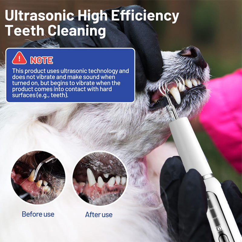 "Black pet dental tool kit for dogs and cats, ultrasonic cleaning, promotes oral hygiene and fresh breath, easy USB recharge.
