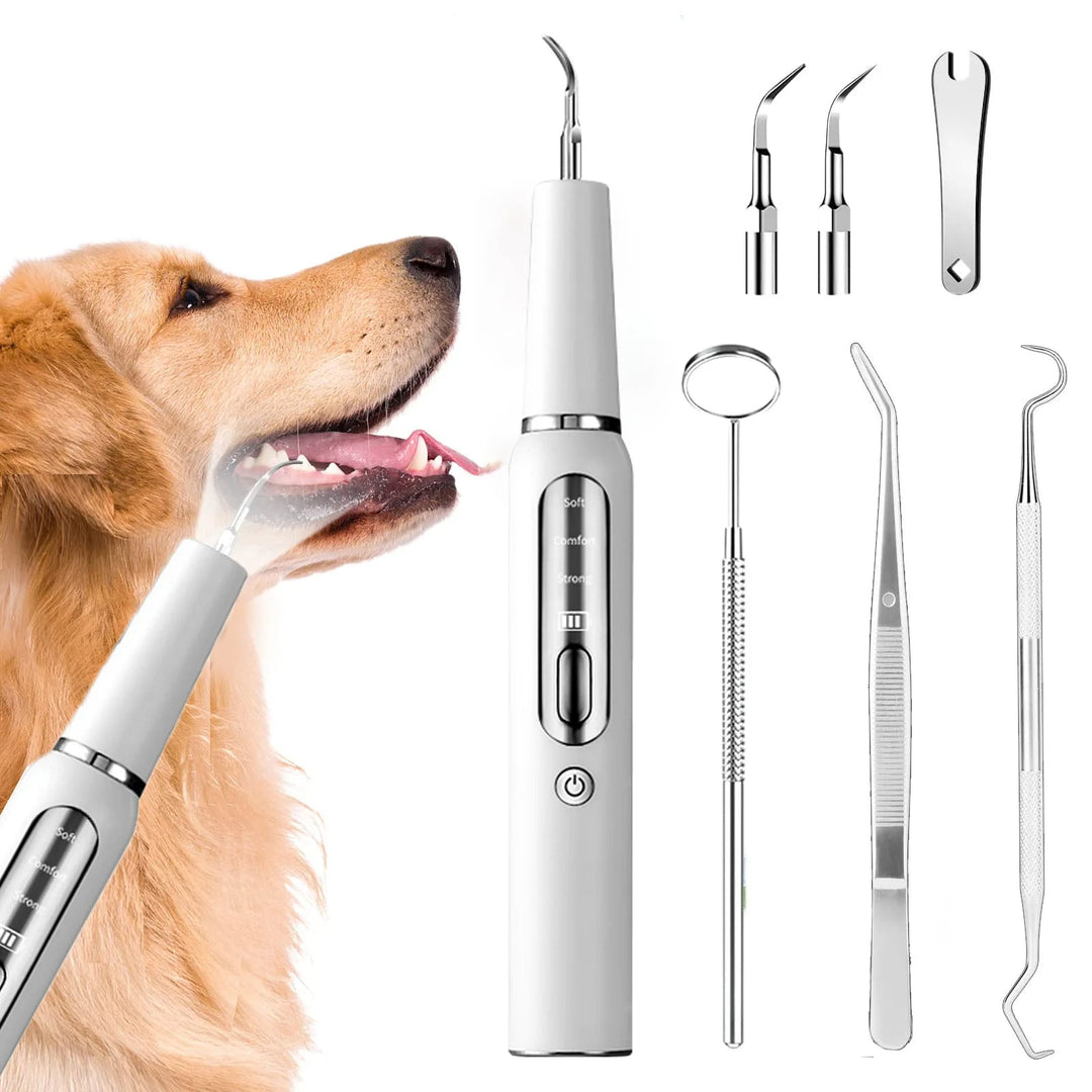 "Black pet dental tool kit for dogs and cats, ultrasonic cleaning, promotes oral hygiene and fresh breath, easy USB recharge.