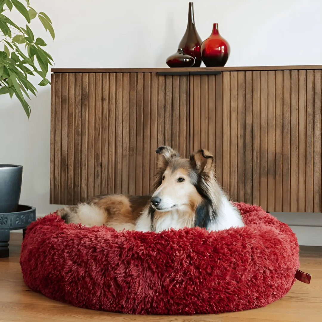 "Plush luxury dog bed for anxiety relief in apricot color, round with raised rim, available in multiple sizes."