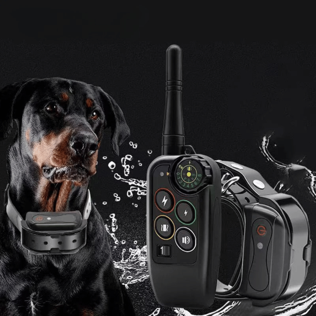 Waterproof dog training e-collar with remote control, 1000m range, adjustable modes, durable for all breeds in any weather.