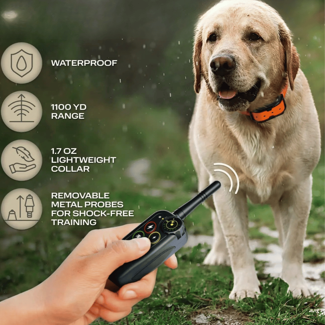 Waterproof dog training e-collar with remote control, 1000m range, adjustable modes, durable for all breeds in any weather.