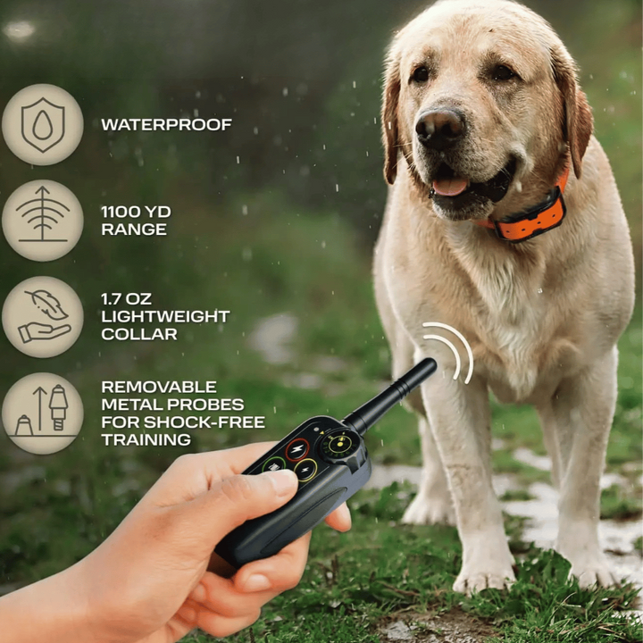 Waterproof dog training e-collar with remote control, 1000m range, adjustable modes, durable for all breeds in any weather.