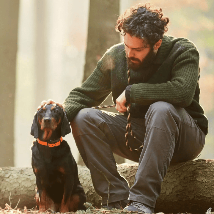 Waterproof dog training e-collar with remote control, 1000m range, adjustable modes, durable for all breeds in any weather.