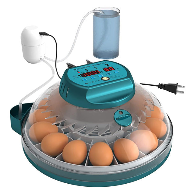 15 egg incubator with auto humidity and candler, showing a clear lid and digital display for easy monitoring and control.