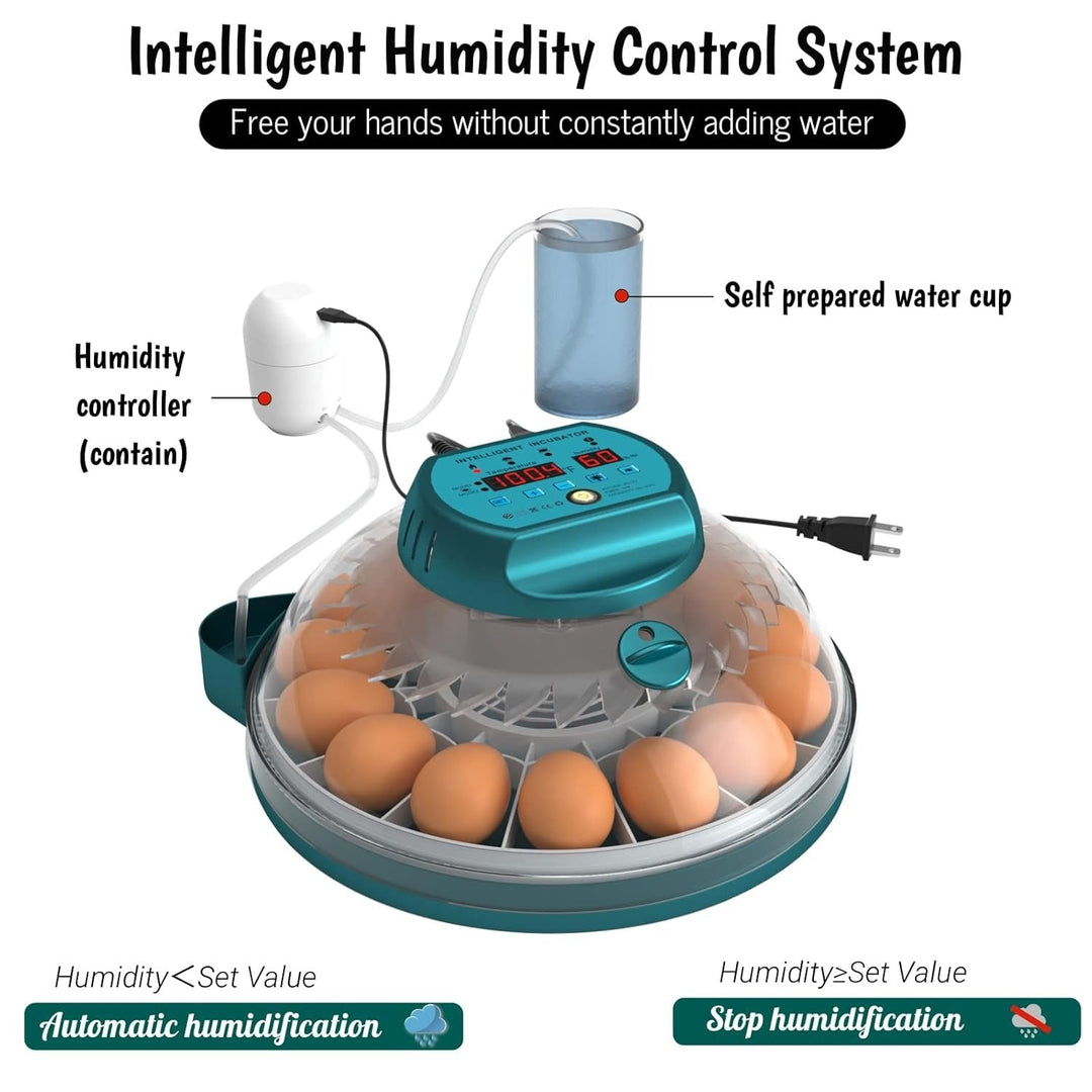 15 egg incubator with auto humidity and candler, showing a clear lid and digital display for easy monitoring and control.