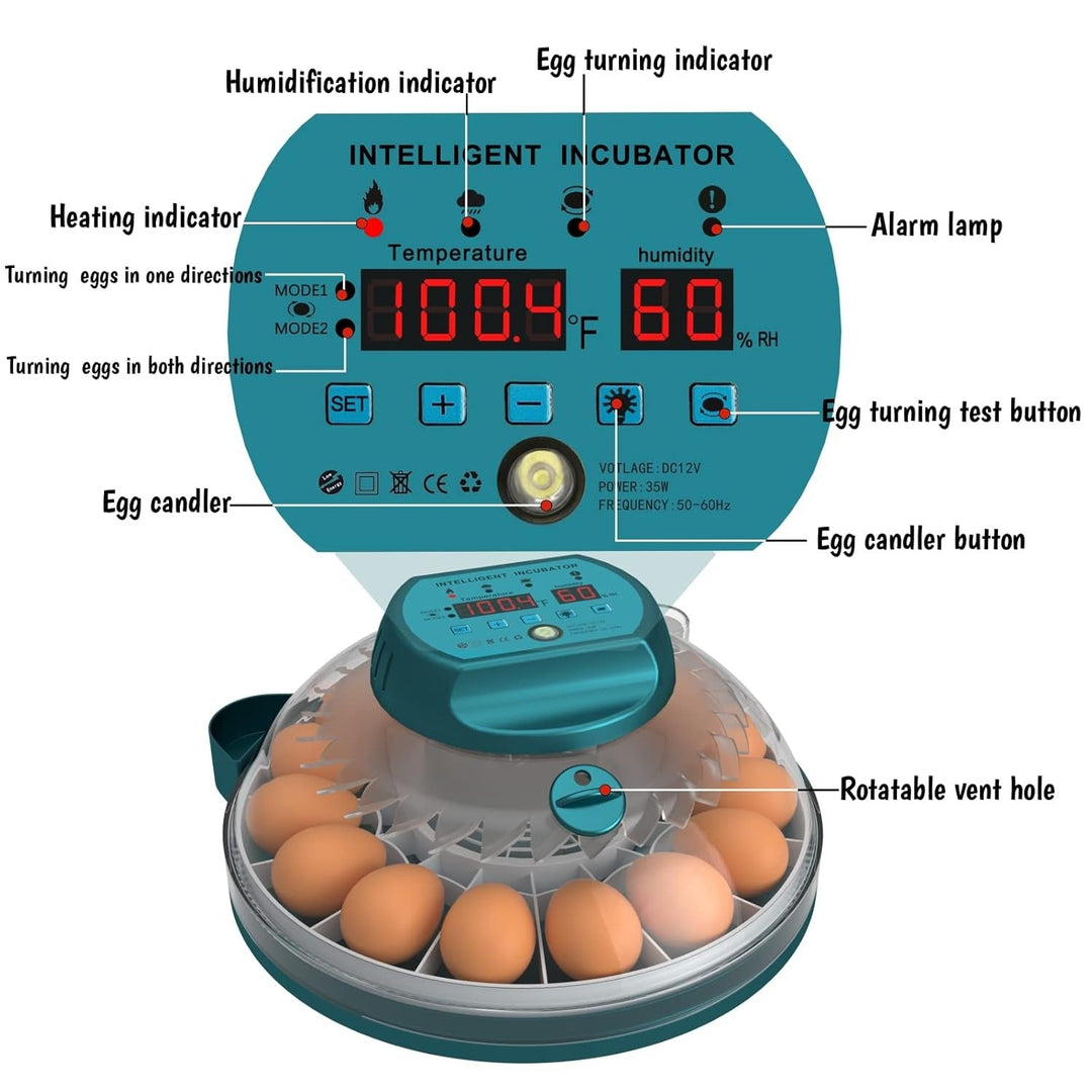 15 egg incubator with auto humidity and candler, showing a clear lid and digital display for easy monitoring and control.