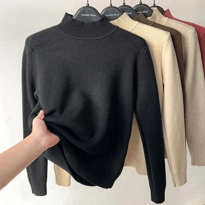 Black, Apricot, Brown, Wine Red
