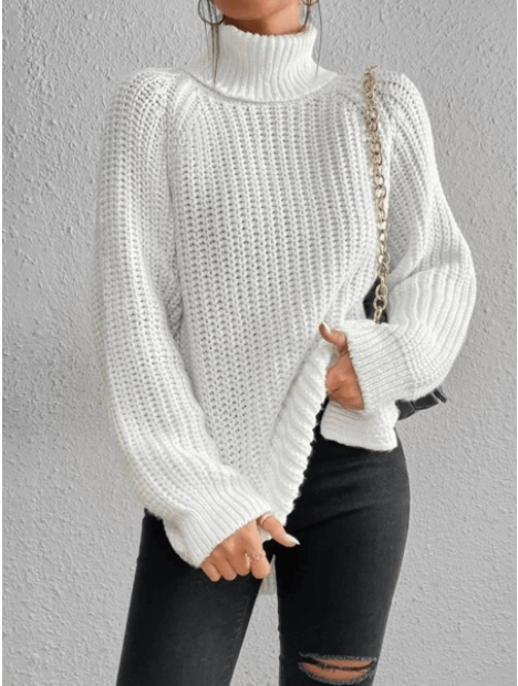 Women's Turtle Ribbed Knit Sweater