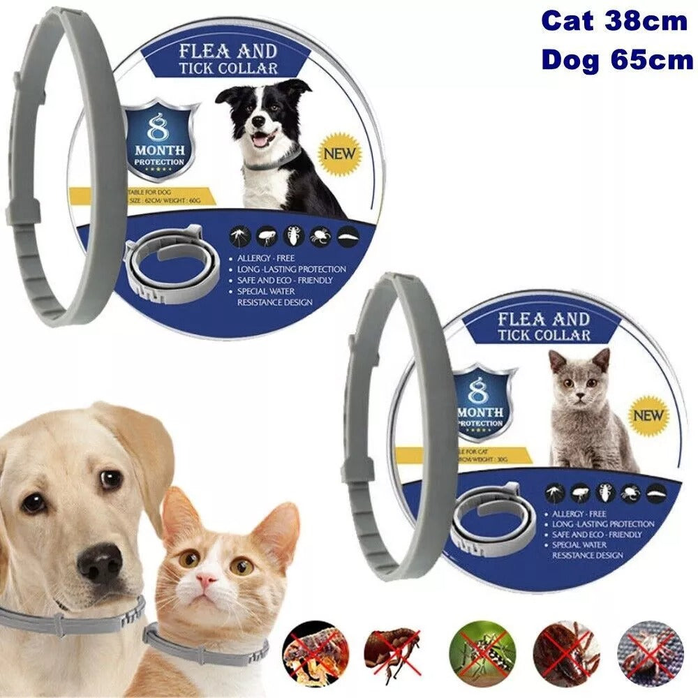 "Adjustable waterproof flea and tick collar for cats and dogs, featuring natural essential oils and eco-friendly design."