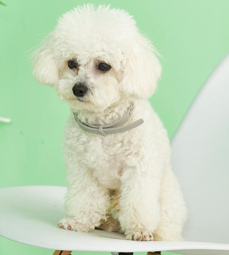 "Adjustable waterproof flea and tick collar for cats and dogs, featuring natural essential oils and eco-friendly design."