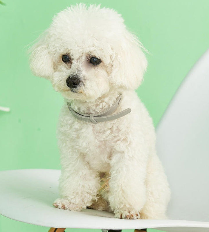 "Adjustable waterproof flea and tick collar for cats and dogs, featuring natural essential oils and eco-friendly design."