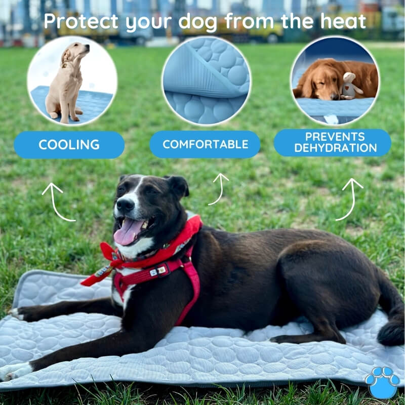 "Blue dog cooling mat, foldable and portable, offers instant cooling, waterproof, and safe for indoor and outdoor use."