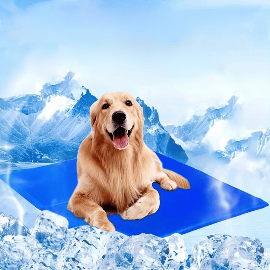 "Blue foldable cooling dog mat with moisture-resistant surface, suitable for home and travel, providing comfort and joint sup