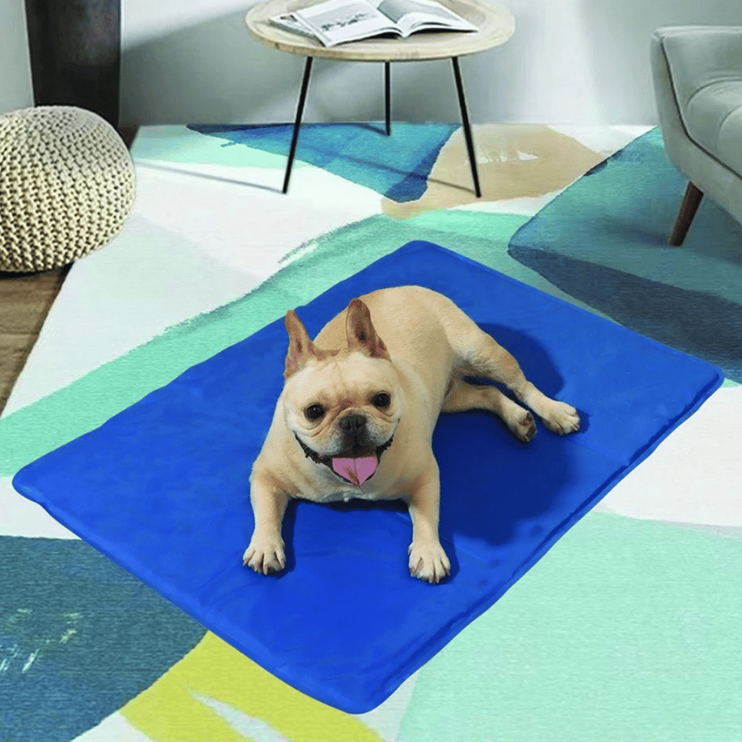 "Blue gel-filled dog cooling mat, water-resistant PVC pad for pets, pressure-activated, available in various sizes."