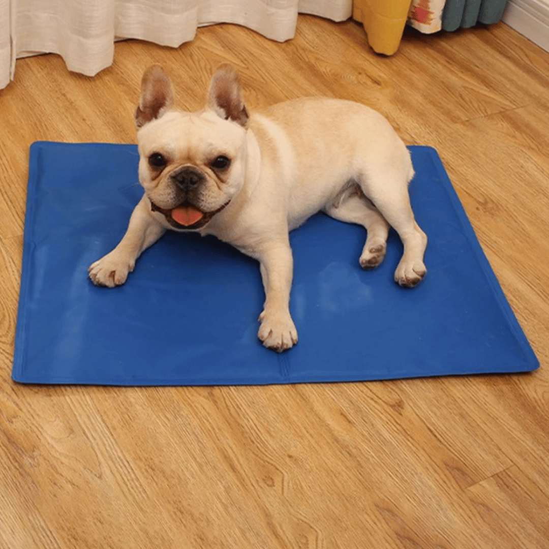 "Blue gel-filled dog cooling mat, water-resistant PVC pad for pets, pressure-activated, available in various sizes."