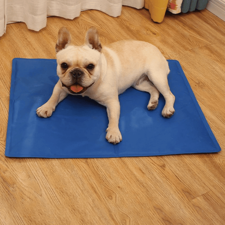 "Blue gel-filled dog cooling mat, water-resistant PVC pad for pets, pressure-activated, available in various sizes."