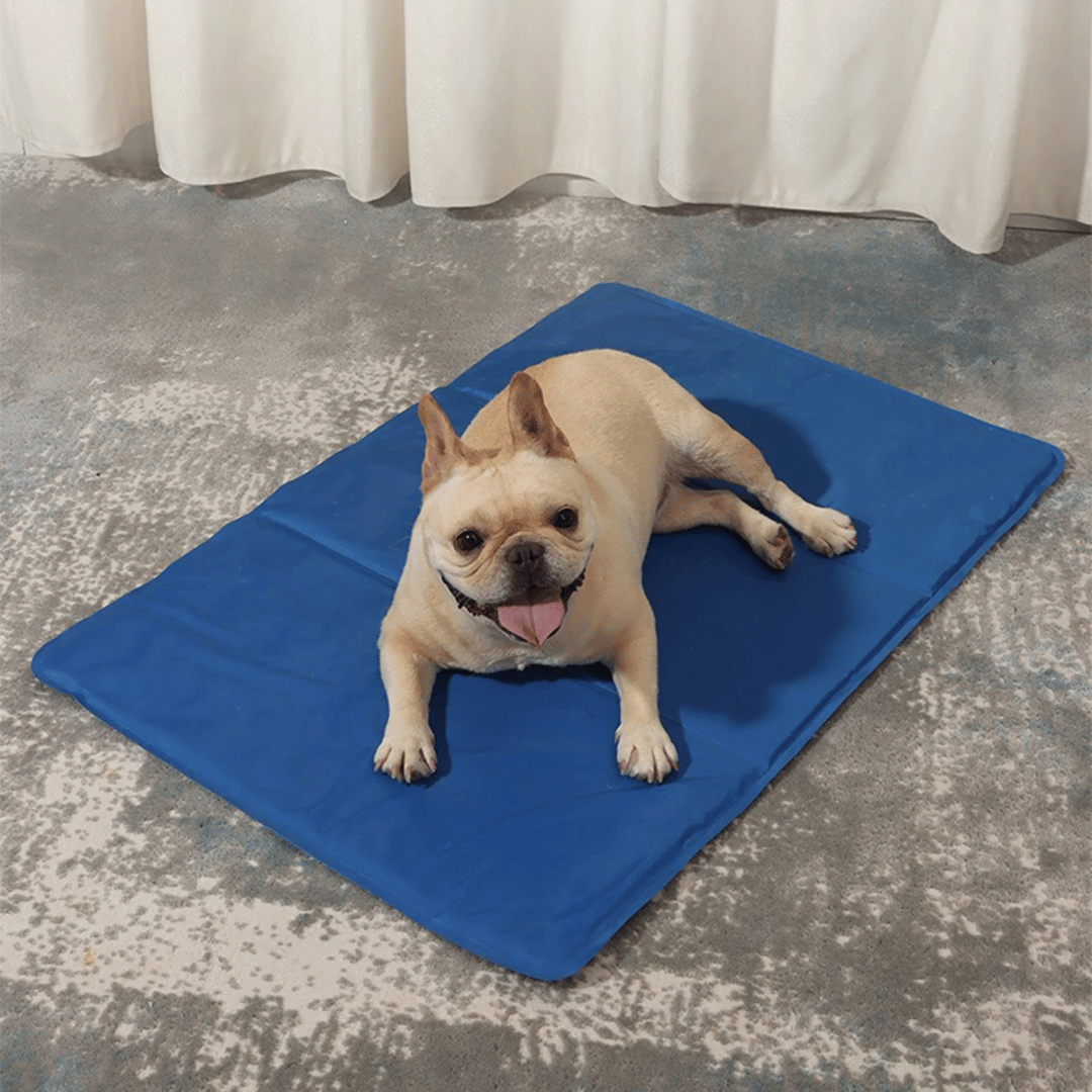 "Blue gel-filled dog cooling mat, water-resistant PVC pad for pets, pressure-activated, available in various sizes."