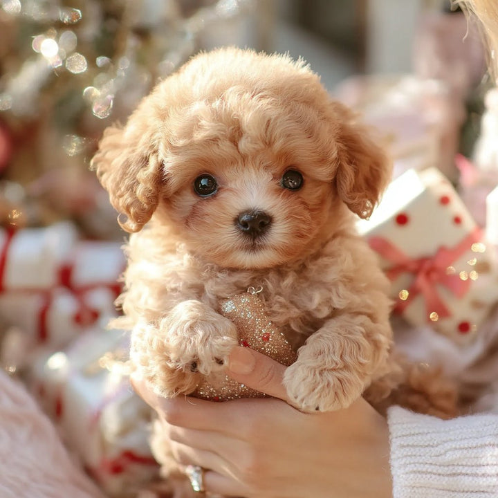 Brown and white realistic plush puppy toy for kids and adults, lifelike features, super-soft fur, ideal cuddly companion.