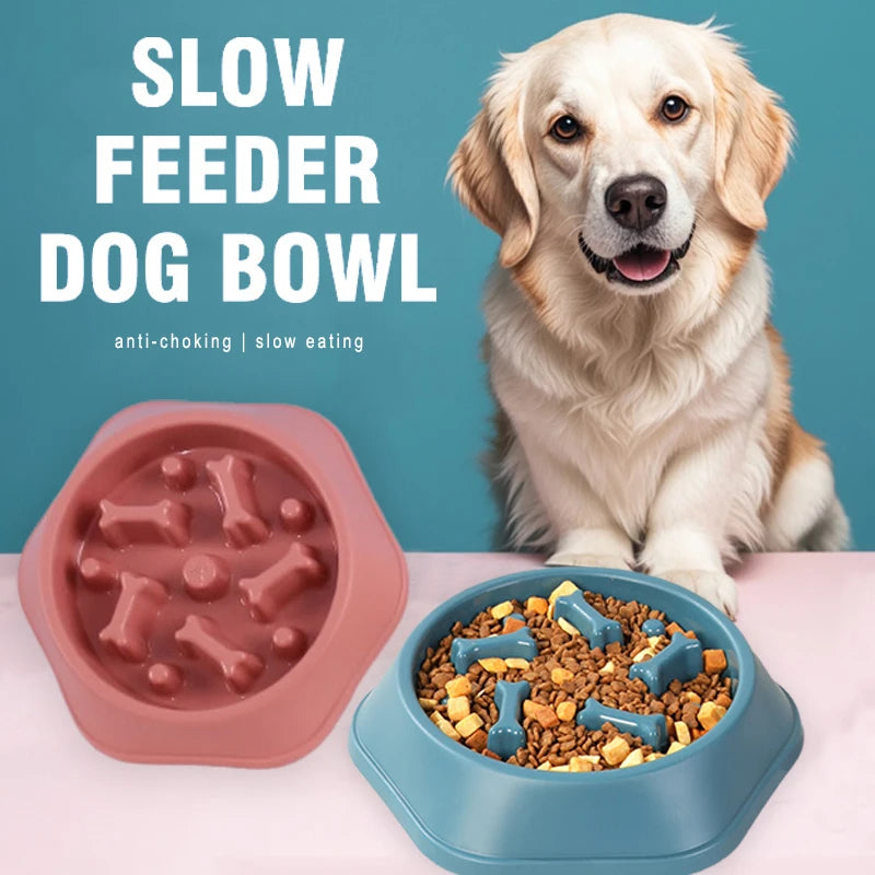 "Colorful slow eating feeding bowl for dogs with bone-shaped obstacles, promoting healthy digestion and reducing choking risk