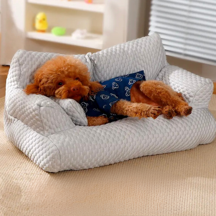 Cooling dog sofa couch with breathable fabric, ergonomic design, and washable cover in stylish colors for pets.