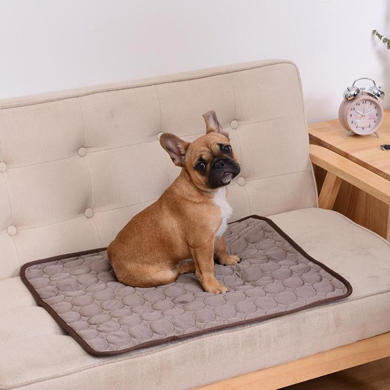 "Cooling pad for dogs with advanced relief, depicting a blue mat designed for comfort and heat stress reduction."