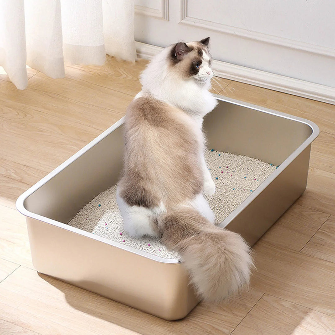 "Deep-sided stainless steel cat litter tray with splash-proof sides, rustproof, odour-resistant, sleek design, pet supplies."