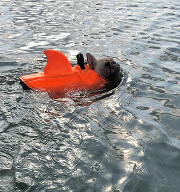 "Dog life jacket with shark fin, vibrant colors, adjustable straps, ensures pet safety and buoyancy in water adventures."