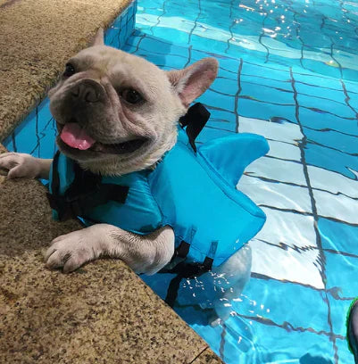 "Dog life jacket with shark fin, vibrant colors, adjustable straps, ensures pet safety and buoyancy in water adventures."