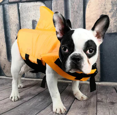 "Dog life jacket with shark fin, vibrant colors, adjustable straps, ensures pet safety and buoyancy in water adventures."