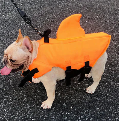"Dog life jacket with shark fin, vibrant colors, adjustable straps, ensures pet safety and buoyancy in water adventures."
