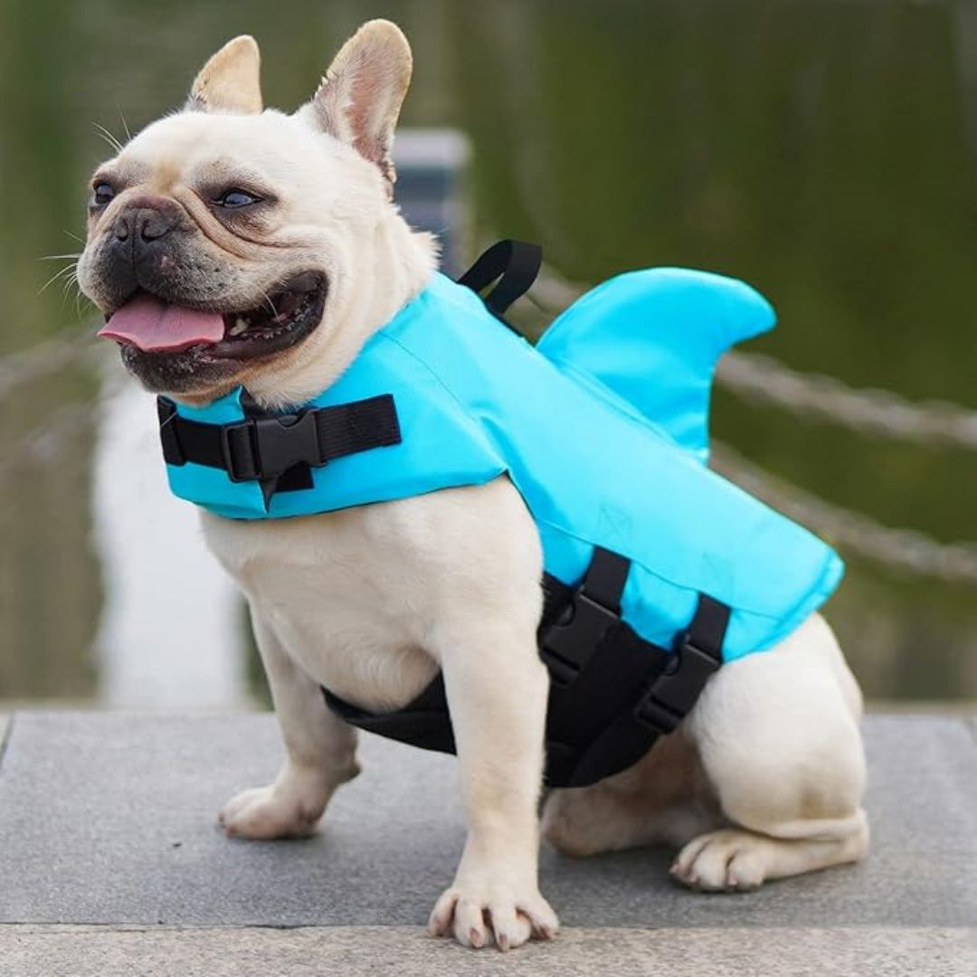 "Dog life jacket with shark fin, vibrant colors, adjustable straps, ensures pet safety and buoyancy in water adventures."