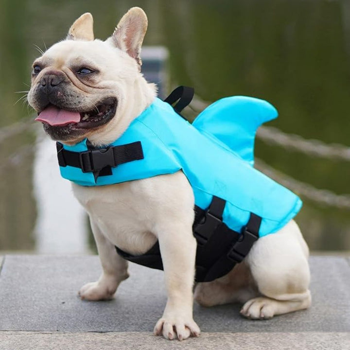 "Dog life jacket with shark fin, vibrant colors, adjustable straps, ensures pet safety and buoyancy in water adventures."