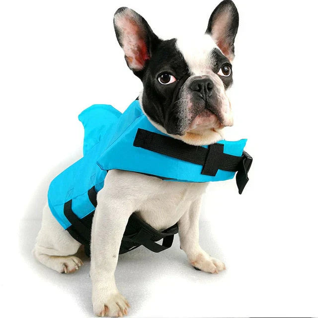 "Dog life jacket with shark fin, vibrant colors, adjustable straps, ensures pet safety and buoyancy in water adventures."