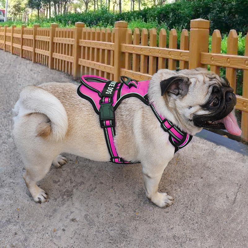 "Dog wearing personalized Y-shape harness with reflective strips for comfort and safety, vibrant color, ergonomic design."