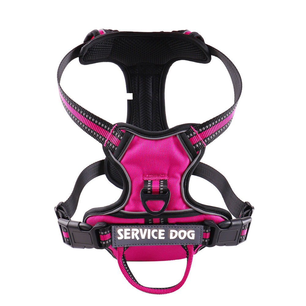 "Dog wearing personalized Y-shape harness with reflective strips for comfort and safety, vibrant color, ergonomic design."