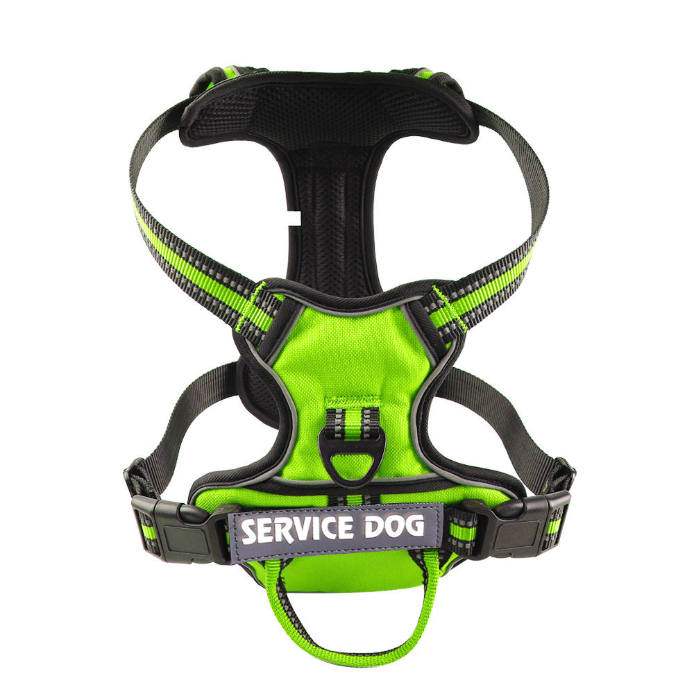 "Dog wearing personalized Y-shape harness with reflective strips for comfort and safety, vibrant color, ergonomic design."