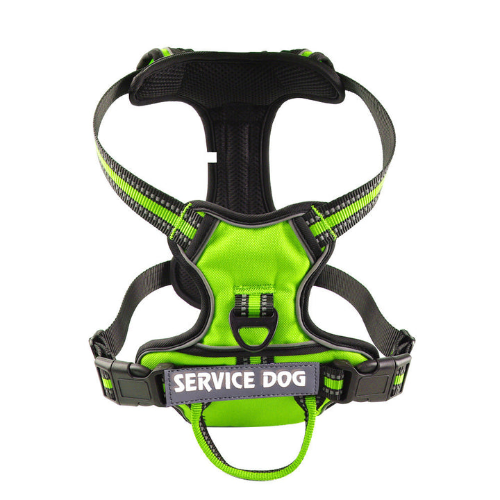 "Dog wearing personalized Y-shape harness with reflective strips for comfort and safety, vibrant color, ergonomic design."