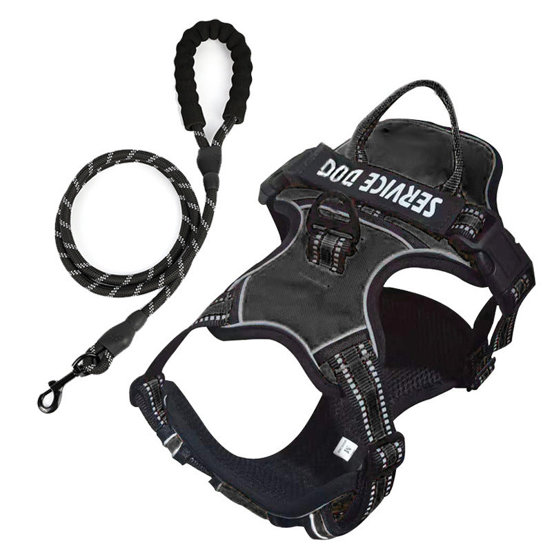"Dog wearing personalized Y-shape harness with reflective strips for comfort and safety, vibrant color, ergonomic design."