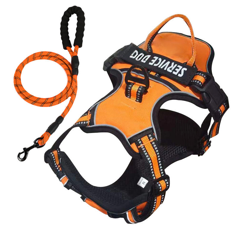 "Dog wearing personalized Y-shape harness with reflective strips for comfort and safety, vibrant color, ergonomic design."