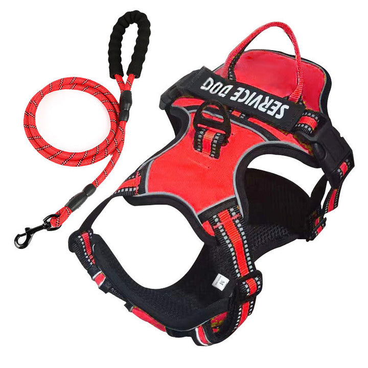 "Dog wearing personalized Y-shape harness with reflective strips for comfort and safety, vibrant color, ergonomic design."