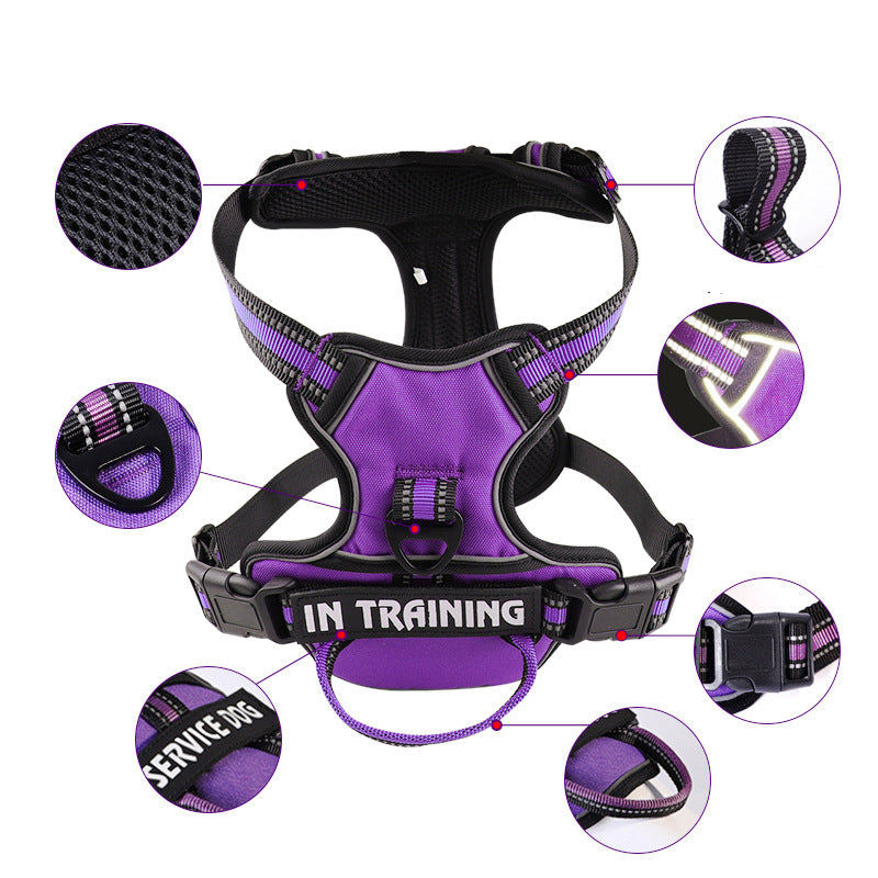 "Dog wearing personalized Y-shape harness with reflective strips for comfort and safety, vibrant color, ergonomic design."