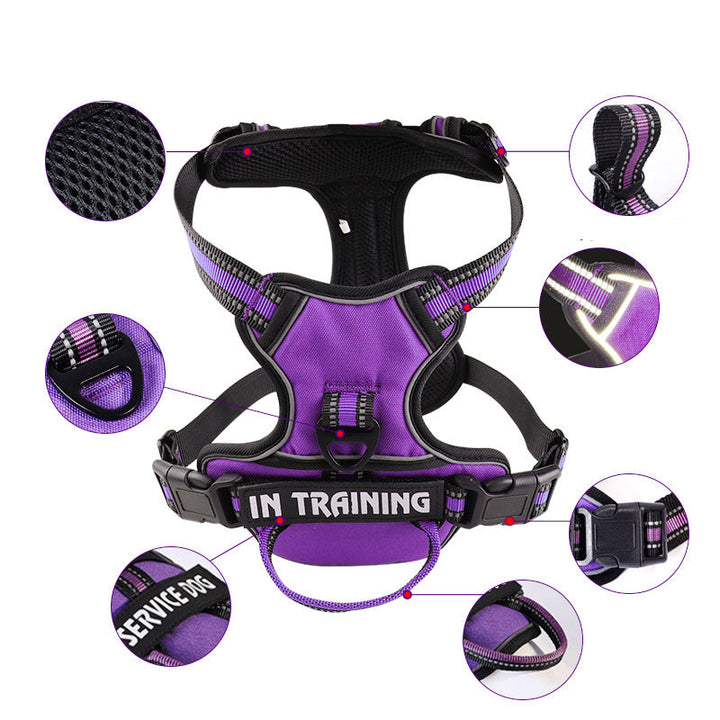 "Dog wearing personalized Y-shape harness with reflective strips for comfort and safety, vibrant color, ergonomic design."