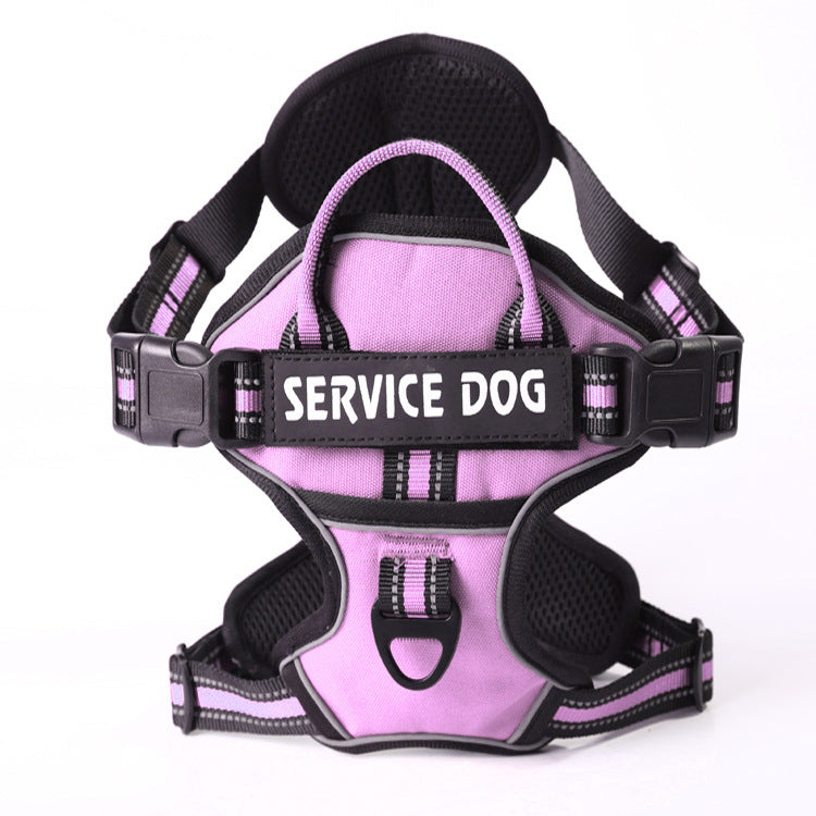 "Dog wearing personalized Y-shape harness with reflective strips for comfort and safety, vibrant color, ergonomic design."