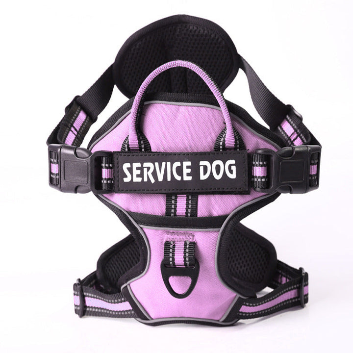 "Dog wearing personalized Y-shape harness with reflective strips for comfort and safety, vibrant color, ergonomic design."