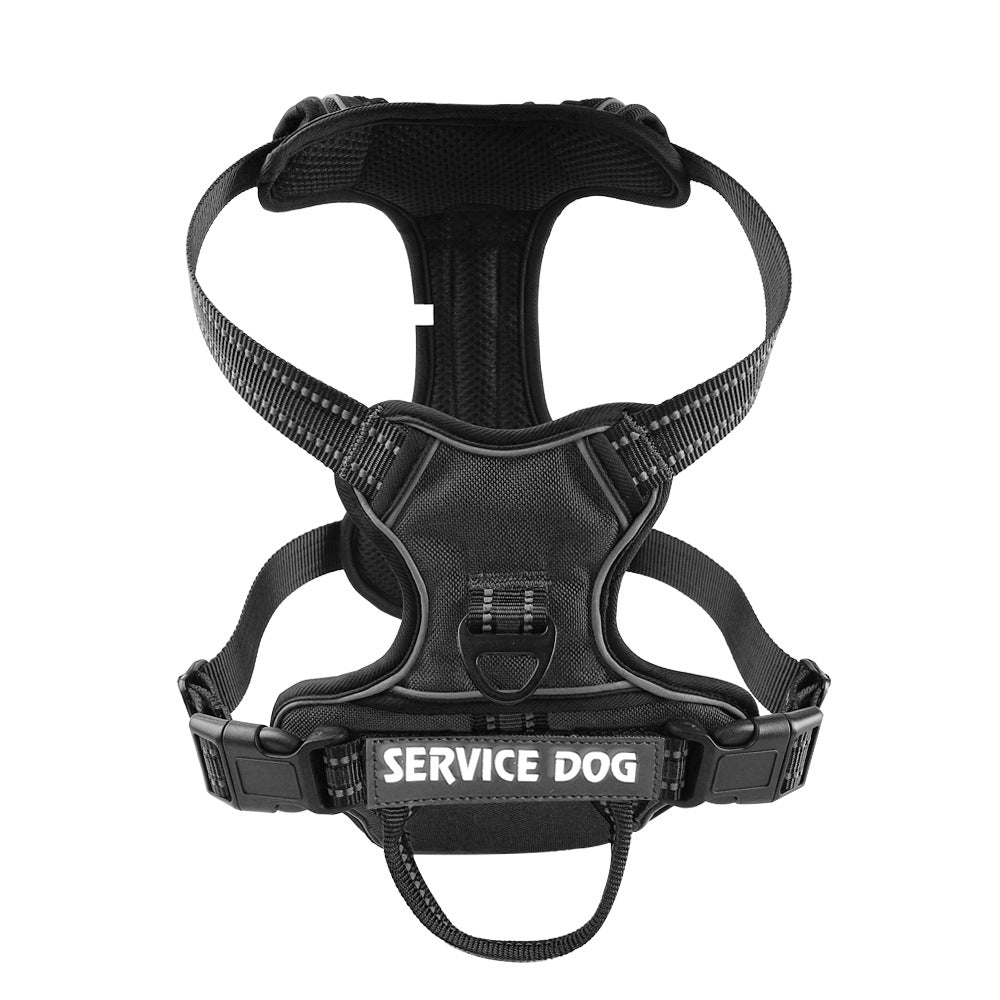 "Dog wearing personalized Y-shape harness with reflective strips for comfort and safety, vibrant color, ergonomic design."