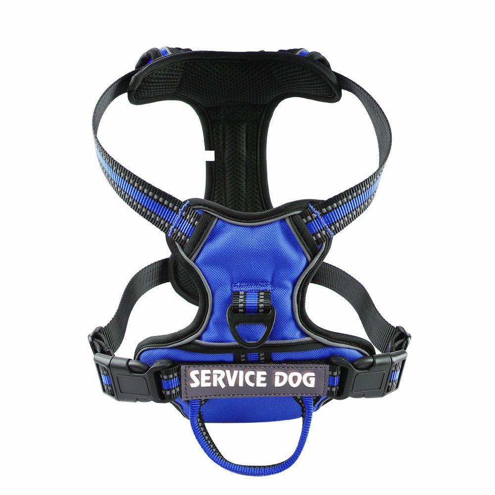 "Dog wearing personalized Y-shape harness with reflective strips for comfort and safety, vibrant color, ergonomic design."